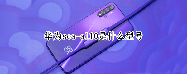 华为sea-al10是什么型号（华为sea-al10是什么型号耳机在哪插）