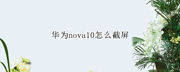 华为nova10怎么截屏（华为nova9截屏怎么截）