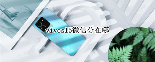 vivos15微信分在哪