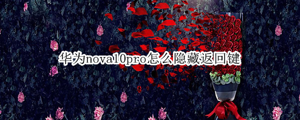 华为nova10pro怎么隐藏返回键（华为nova5pro怎么隐藏返回键）