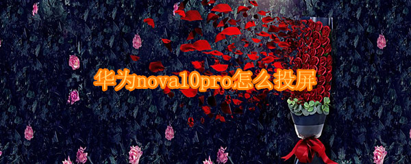 华为nova10pro怎么投屏 华为mate10pro能投屏吗