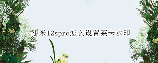 小米12spro怎么设置莱卡水印（小米12拍照）