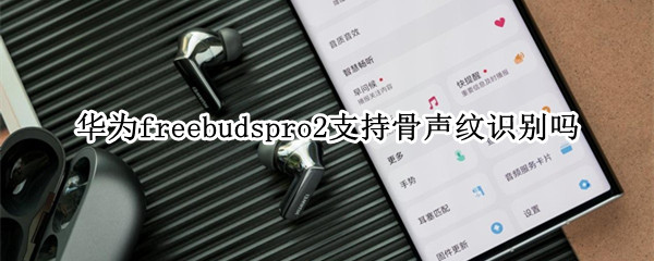 华为freebudspro2支持骨声纹识别吗 华为freebuds2pro骨声纹怎么用