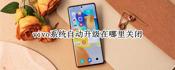 vivo系统自动升级在哪里关闭 vivo系统自动更新在哪里关闭