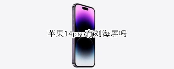 苹果14pro有刘海屏吗 苹果12pro有刘海屏吗