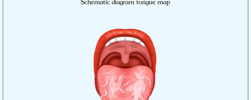 地图舌需要补充什么维生素（地图舌应该补充哪种维生素）