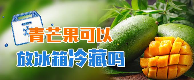 青芒果可以放冰箱冷藏吗（青芒果可以放冰箱冷藏吗能放多久）