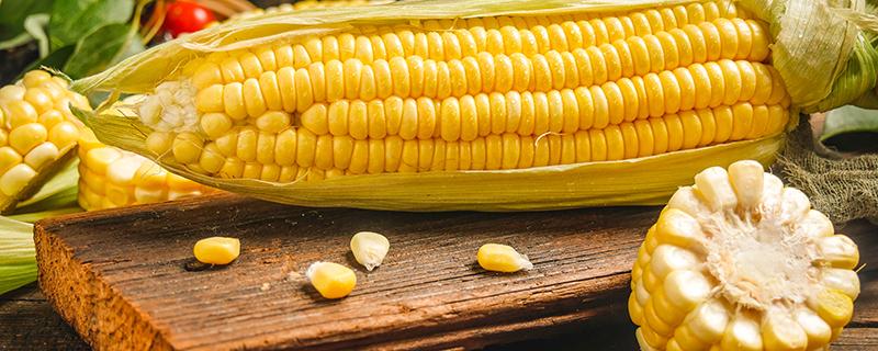 甜玉米是转基因的吗 美国甜玉米是转基因的吗