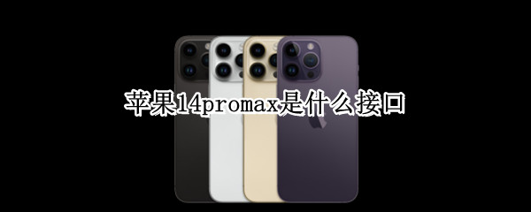 苹果14promax是什么接口（苹果13promax接口）