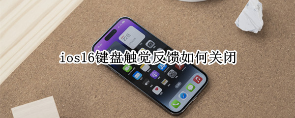 ios16键盘触觉反馈如何关闭 ios自带键盘震动反馈