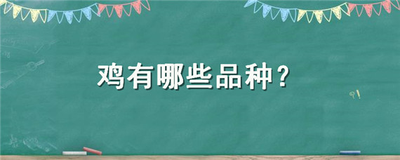 鸡有哪些品种 宠物鸡有哪些品种