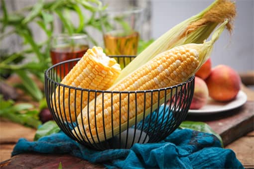 2022东北地区玉米大豆生产者补贴有多少？附部分地区最新消息！