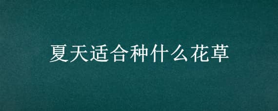 夏天适合种什么花草 夏天适合种什么花草树木