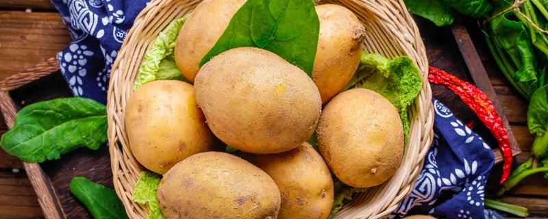 土豆的营养价值与食用功效 土豆的营养价值与食用功效视频