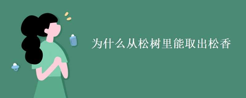 为什么从松树里能取出松香 为什么从松树里能取出松香的原因