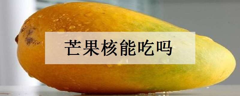 芒果核能吃吗（芒果核能吃吗?治什么的?）