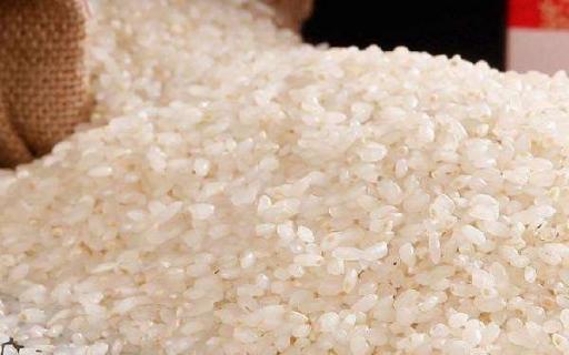 粳米是什么米 粳米是什么米和大米哪个好吃