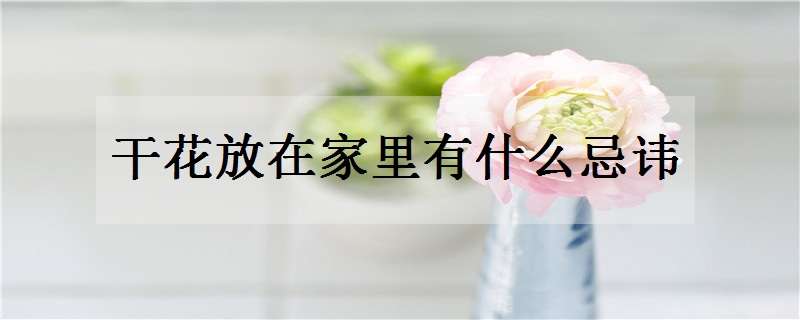 干花放在家里有什么忌讳（干花放在家里有什么忌讳干果）