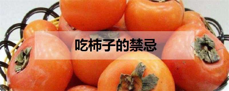 吃柿子的禁忌