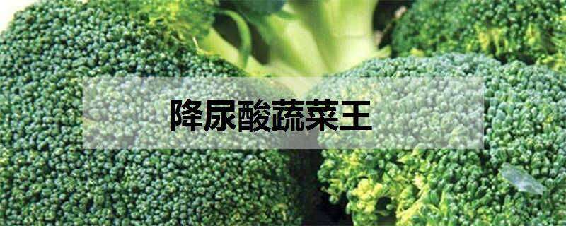 降尿酸蔬菜王（降尿酸蔬菜王菊苣菜长什么样）