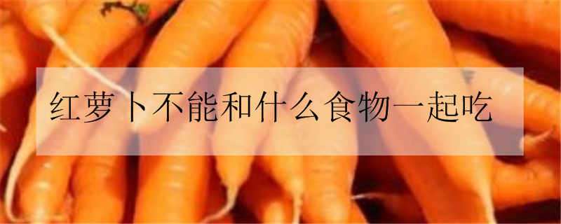 红萝卜不能和什么食物一起吃 红萝卜不能和什么食物一起吃会中毒