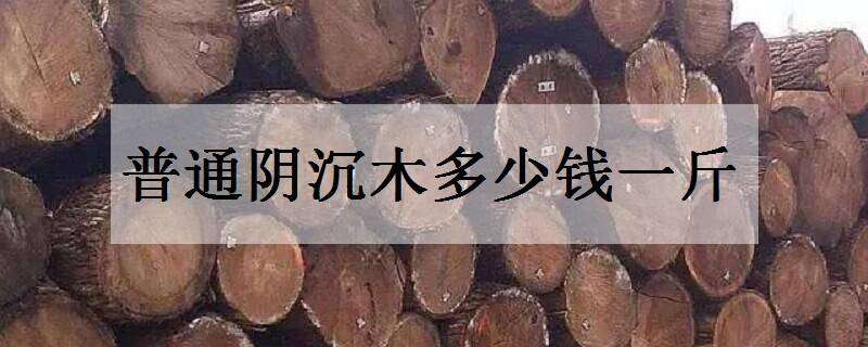 普通阴沉木多少钱一斤