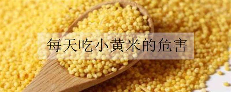 每天吃小黄米的危害 每天吃小黄米的危害有多大