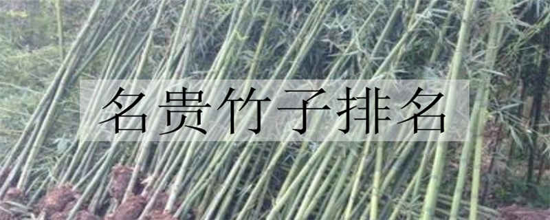 名贵竹子排名（名贵竹子排名前十）