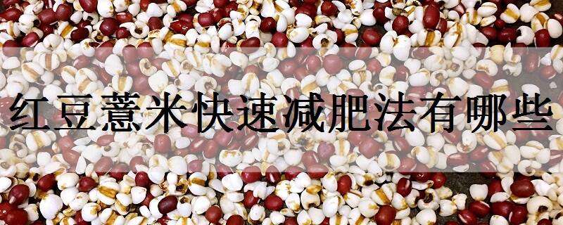 红豆薏米快速减肥法有哪些（红豆薏米的减肥方法）
