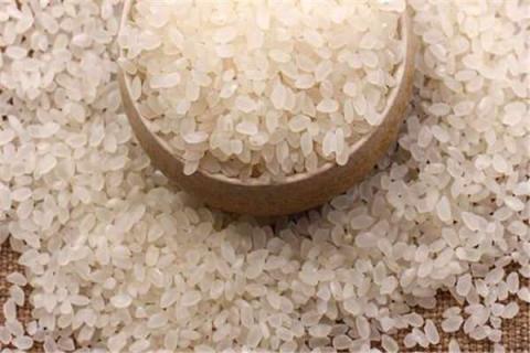 粳米是什么米 粳米是什么米 图片