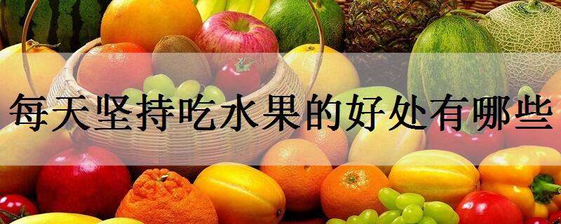 每天坚持吃水果的好处有哪些 每天坚持吃水果的好处有哪些英语
