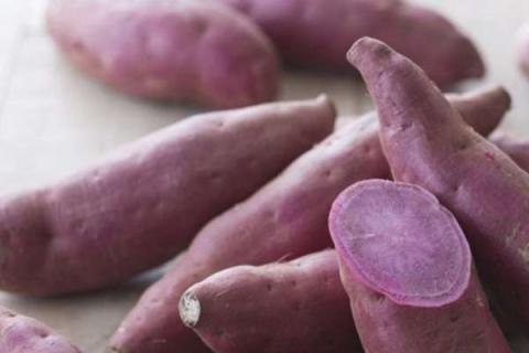 紫薯是转基因食品吗 如何正确食用