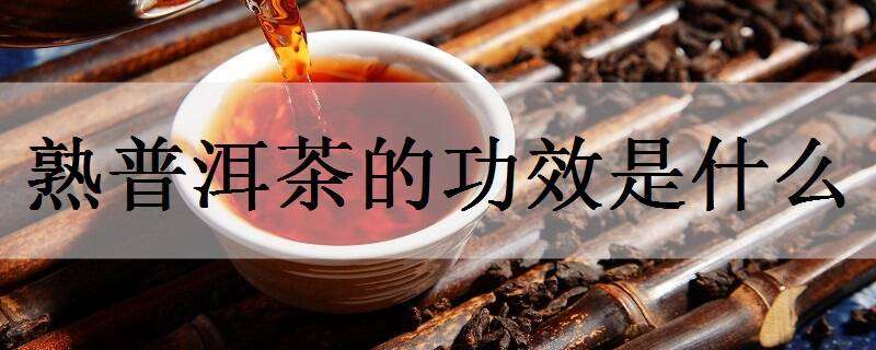 熟普洱茶的功效是什么 减肥茶排行榜第一名