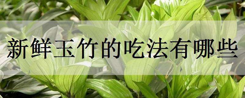 新鲜玉竹的吃法有哪些