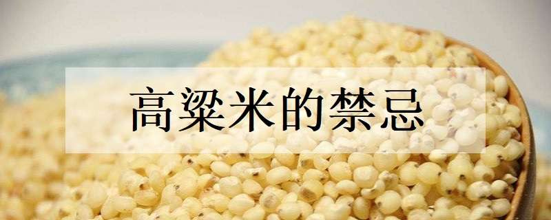 高粱米的禁忌 高粱米的禁忌人群
