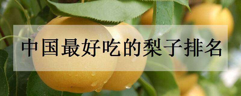 中国最好吃的梨子排名（国内梨哪里的最好吃）