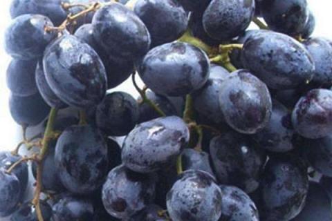 盘点世界上最贵的八种葡萄