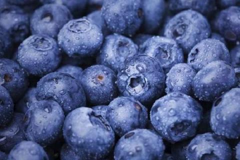 蓝莓储存方法和时间如何延长保鲜期（蓝莓的保存方法及保存时间）