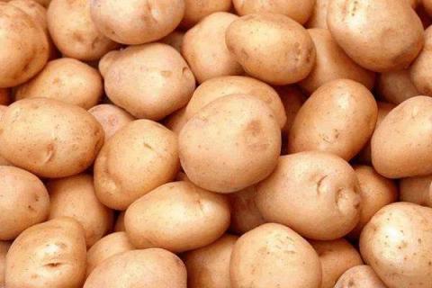 轻微发青的土豆能吃吗 会不会有毒