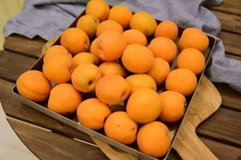 杏子是什么季节的水果（杏子是哪个季节的）