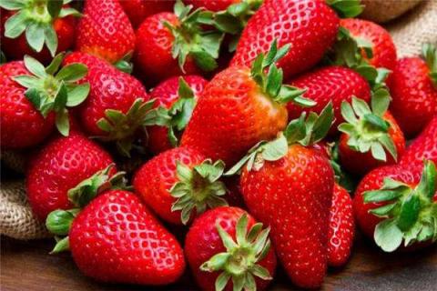草莓缺水表现 草莓缺水会影响果生长