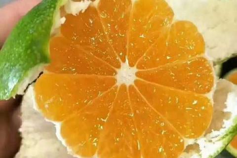 柑橘脂点黄斑病用什么药最好 柑橘脂点黄斑如何配药