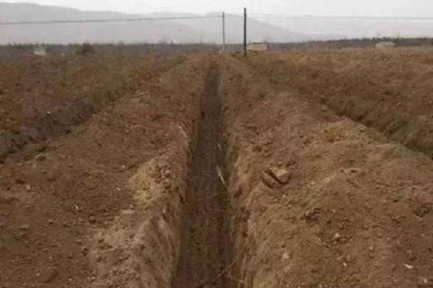 生土快速变熟土的方法是什么 新土如何变熟土