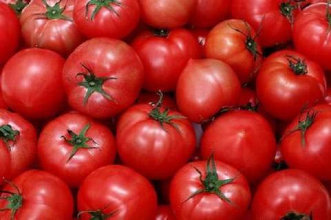 如何让番茄一夜间变红 西红柿一直不红怎么办