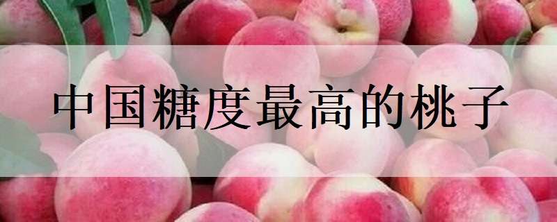 中国糖度最高的桃子（中国糖度最高的桃子是什么）