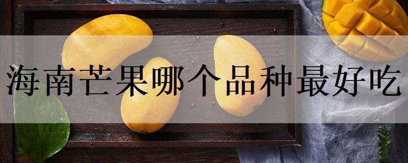 海南芒果哪个品种最好吃 海南芒果什么品种最好吃