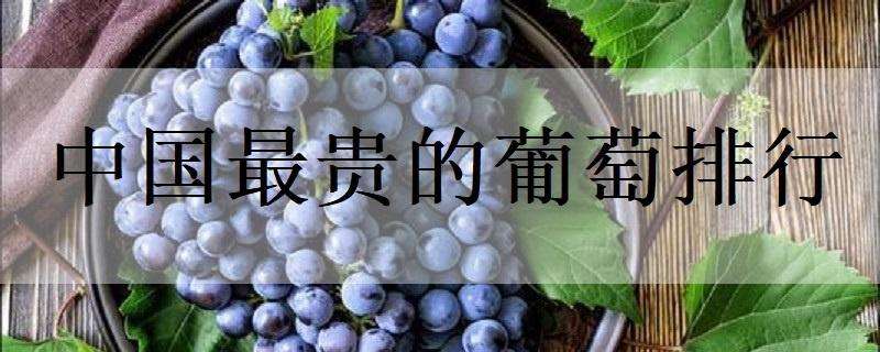 中国最贵的葡萄排行（中国最贵的葡萄排行榜前十名）