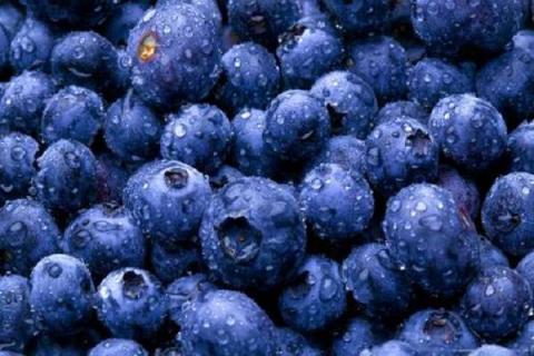蓝莓怎么洗 蓝莓的正确清洗方法