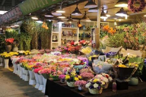 我国最大的花卉批发市场在哪里