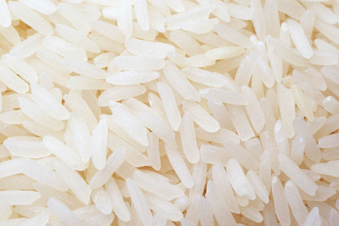 籼稻和粳稻哪个好吃（籼稻和粳稻哪个营养价值高）